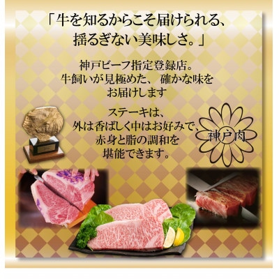 訳あり 神戸牛 サイコロステーキ(部位おまかせ) 500g AGDS3【2026年4月より順次発送】
