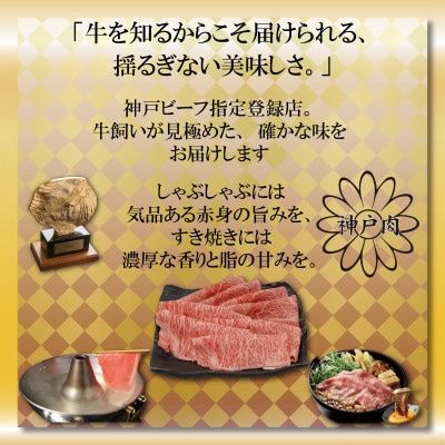 神戸ビーフ サーロイン&赤身 ステーキ・すき焼きセット 計800g AGSTS8