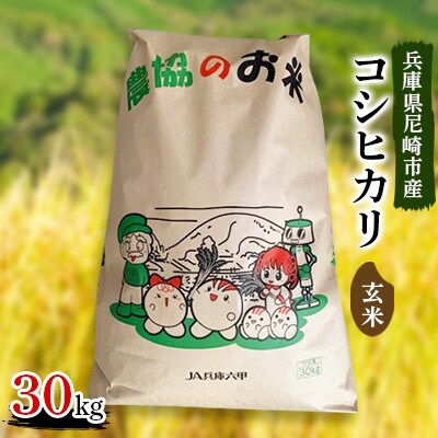 食品・飲料・酒兵庫県産新米コシヒカリ玄米 30kg - 米・雑穀・粉類