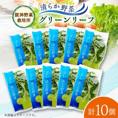 清らか野菜　グリーンリーフ