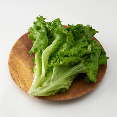清らか野菜　グリーンリーフ