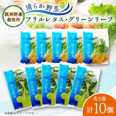 清らか野菜　フリルレタス・グリーンリーフ　10個入り(各5個)