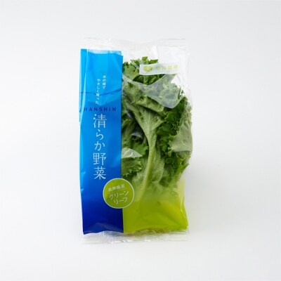 清らか野菜　フリルレタス・グリーンリーフ　10個入り(各5個)