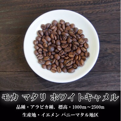 スペシャルティコーヒー豆詰め合わせ 200g×3パック〈ペーパードリップ用粉〉