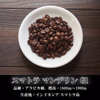 スペシャルティコーヒー豆詰め合わせ 200g×3パック〈ペーパードリップ用粉〉