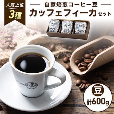 【KAFFEE FIKA】カッフェフィーカコーヒー豆セット 200g×3パック〈豆のまま〉