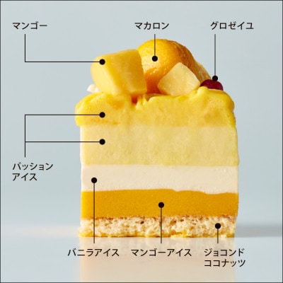 アンリ・シャルパンティエ監修アイスケーキ　ガトーグラス トロピカル 1台(2~3名様)