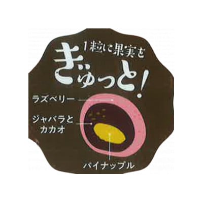 園田学園大学×タカオカチョコレート「贅沢ショコラタイム」　3個セット
