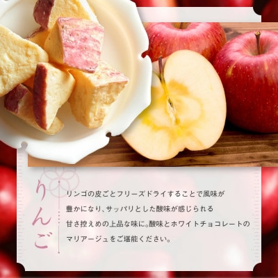 芦屋・寿果実　16袋セット【贈答箱】