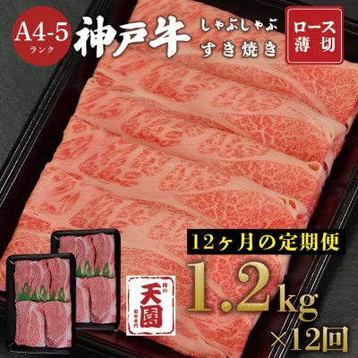 【毎月定期便】【ふるさと納税 定期便】神戸牛 霜降り肩ロースしゃぶしゃぶすき焼き1.2kg×全12回