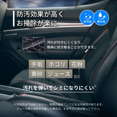 内装用コーティング剤　20ml