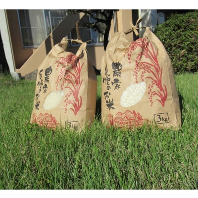 【令和5年度産】もち米3kg・白米3kgセット
