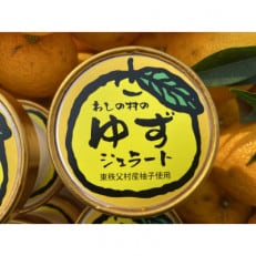 わしの村のジェラート　ゆず　100ml×10個