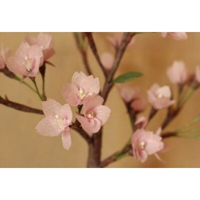 東秩父村　細川紙フラワー「桜(大)」