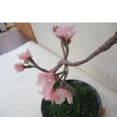 細川紙フラワー「桜(小)」
