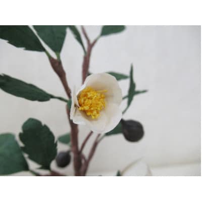 細川紙フラワー「お茶の花(小)」