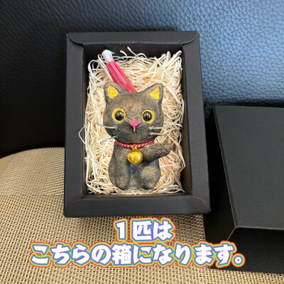 笠山猫(かさやまねこ)(1)シバ