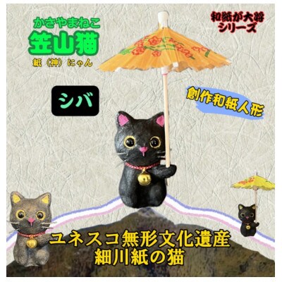 笠山猫(かさやまねこ)(1)シバ