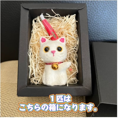 笠山猫(かさやまねこ)(2)ともにゃん