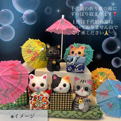 笠山猫(かさやまねこ)(2)ともにゃん