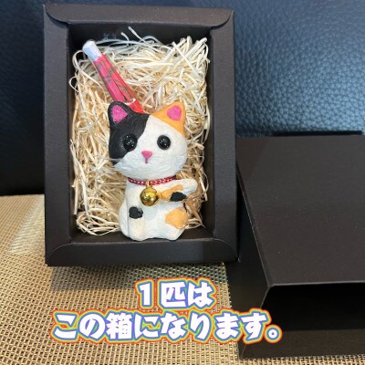 笠山猫(かさやまねこ)(3)よしにゃか