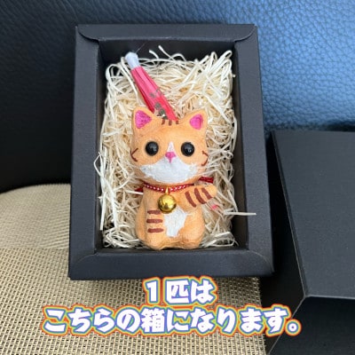 笠山猫(かさやまねこ)(5)ひめにゃん