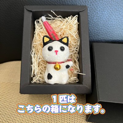 笠山猫(かさやまねこ)(4)はっちぃー