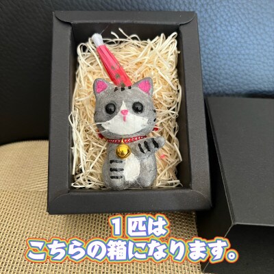 笠山猫(かさやまねこ)(6)たかにゃん