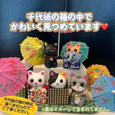 笠山猫6匹セット(シバ・ともにゃん・よしにゃか・はっちぃー・ひめにゃん・たかにゃん)
