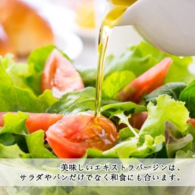 有機栽培 エキストラバージン オリーブオイル シングル 2本セット[No.5735-0336]