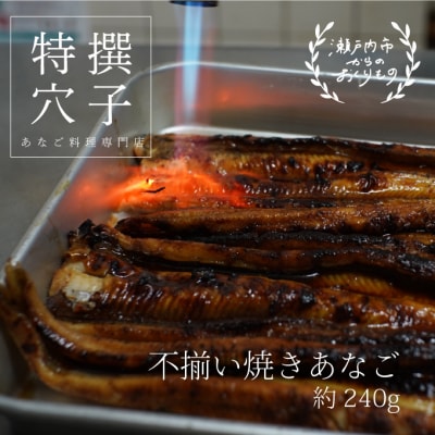 焼きあなご240g [不揃い小ぶりサイズ][No.5735-0276]