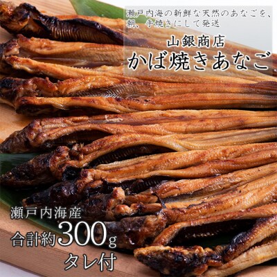  山銀商店 かば焼き あなご (合計約300g)   [No.5735-0706]