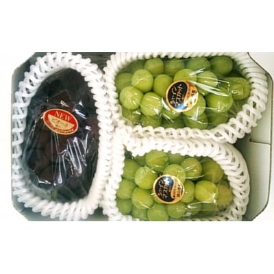 フルーツ王国 岡山のブドウセット約2kg【配達不可:北海道・沖縄・離島】[No.5735-0264]