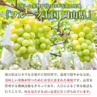 【2026年先行受付】シャイン マスカット 1房 約500g 岡山県産 [No.5735-0659]