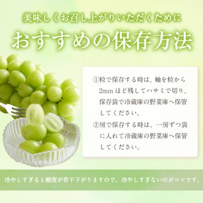 【2025年先行受付】シャイン マスカット 1房 約500g 岡山県産 [No.5735-0659]