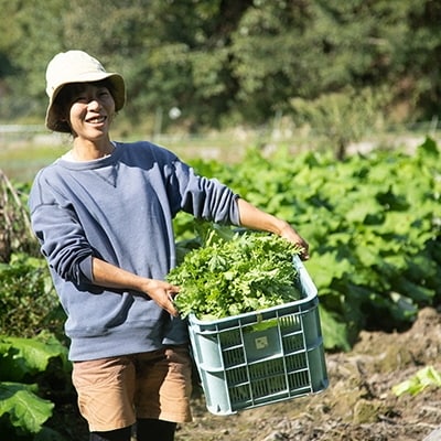 瀬戸内産 旬の野菜セット Wacca Farm[No.5735-0396]