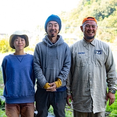 瀬戸内産 旬の野菜セット Wacca Farm[No.5735-0396]