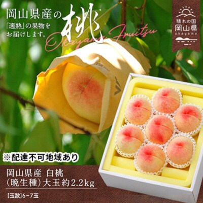 【2025年先行受付】白桃 晩生種 大玉 約2.2kg6～7玉 岡山県産[No.5735-0883]
