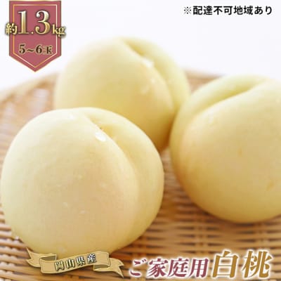 ご家庭用 岡山の 白桃 早生種 5～6玉 合計約1.3kg 岡山県産 [No.5735-0885]