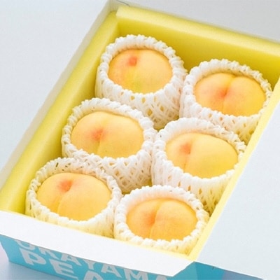 ご家庭用 岡山の 白桃 早生種 5～6玉 合計約1.3kg 岡山県産 [No.5735-0885]