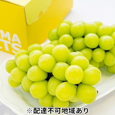 ご家庭用 シャイン マスカット 2～3房 合計約1.2kg  岡山県産 [No.5735-0887]