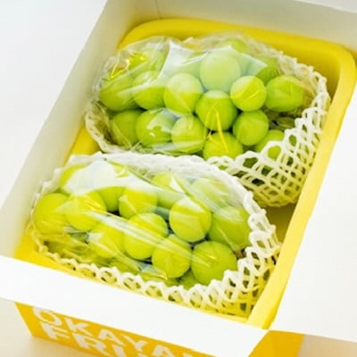 ご家庭用 シャイン マスカット 2～3房 合計約1.2kg  岡山県産 [No.5735-0887]