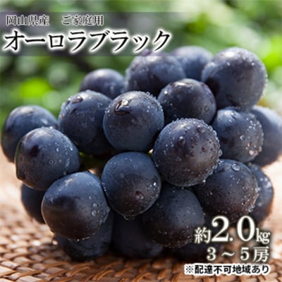 ぶどう ご家庭用 オーロラブラック 約2.0kg(3～5房) 岡山県産[No.5735-0692]