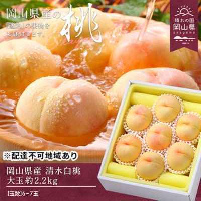 【2026年先行受付】清水白桃 約2.2kg 大玉 6～7玉 岡山県産 [No.5735-0695]