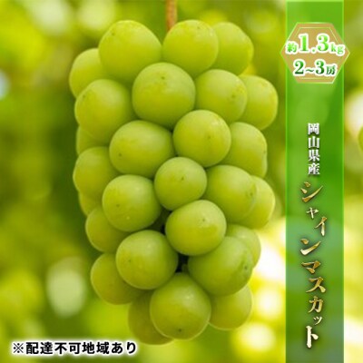 シャイン マスカット 約1.3kg  2～3房  岡山県産  [No.5735-0786]