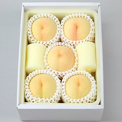 ご家庭用 白桃(晩生種)5～6玉 合計約1.5kg 岡山県産 [No.5735-0773]