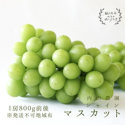 シャインマスカット1房(800g前後)内田農園 岡山県 瀬戸内市 邑久町産  [2174002]