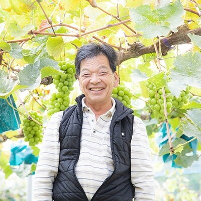 黒川農園大粒大房 シャイン マスカット 2房(1房700g以上)岡山県産[No.5735-0914]