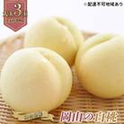 岡山の 白桃 大玉3玉(晩生種)(1玉約300g) 岡山県産 [No.5735-0772]