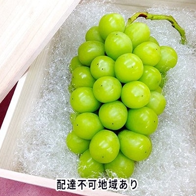 内藤ぶどう園 岡山県産 シャインマスカット 桐箱1房入り 800g以上[No.5735-0935]